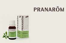 Pranarom